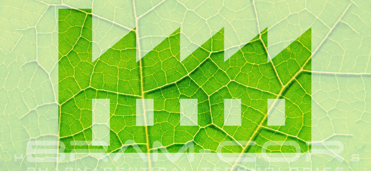 Environmental Policy