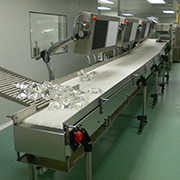 Bags inspection line